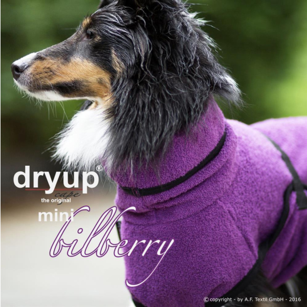 Dryup Cape Mini bilberry