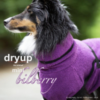 Dryup Cape Mini bilberry