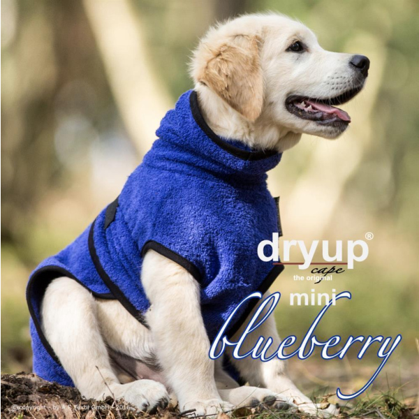 Dryup Cape Mini blueberry