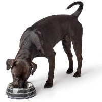 Hunter Melamin-Napf Silda anthrazit/weiß