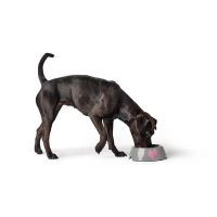 Hunter Melamin-Napf Biri weiß/schwarz 350ml