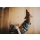 HUNTER Geschirr Divo Blau/Grau S