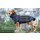 Warmover Karo Fleece Cape dark blue