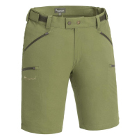 Pinewood 5403 Brenton Shorts Blattgrün (732)