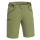 Pinewood 5403 Brenton Shorts Blattgrün (732)