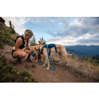 Ruffwear Switchbak Geschirr Blue Moon