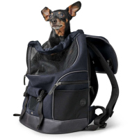 Hunter Rucksack Madison schwarz