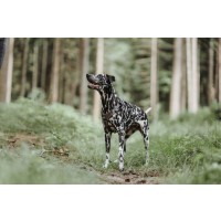 HUNTER Geschirr Divo Braun/Grau S-M