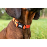 Farm-Land Halsband Verstellbar Signalorange S