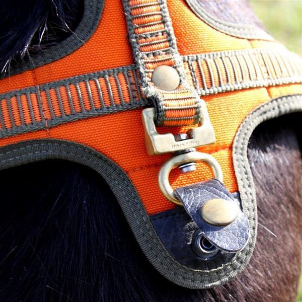 Rttochfy No-Pull Hundegeschirr Für Kleine & Mittlere Hunde – Atmungsaktiv, Verstellbar, Orange