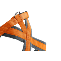 HUNTER Geschirr London Comfort Orange