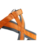 HUNTER Geschirr London Comfort Orange XS-S