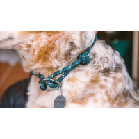 Ruffwear Knot-a-Collar Hundehalsband Blue Moon