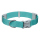 Ruffwear Confluence Halsband Aurora Teal