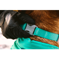 Ruffwear Confluence Halsband Aurora Teal 36-51cm