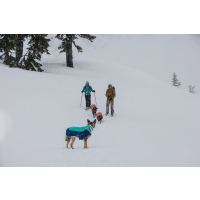 Ruffwear Vert Jacke Aurora Teal