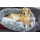 Cuddle Up Hundebett