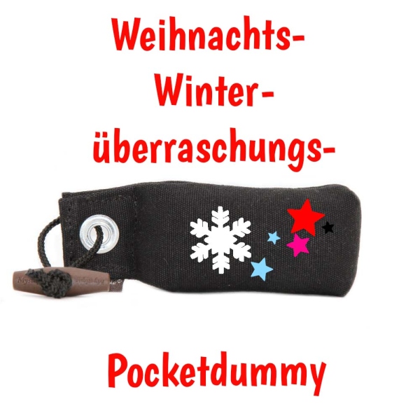 Mystique Weihnachts Winter Überraschungs Pocket