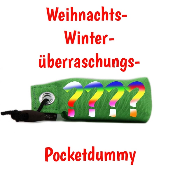 Mystique Weihnachts Winter Überraschungs Pocket neon grün