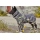 Hurtta Razzle Dazzle Midlayer Hundemantel grün/grau