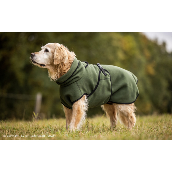 Warmover Fleece Cape pine green