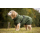 Warmover Fleece Cape pine green