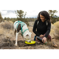 Ruffwear Camp Flyer Spielzeug Lichen Green