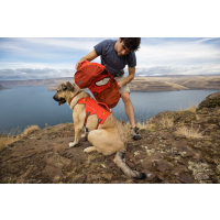 Ruffwear Palisades Pack Rucksack Red Sumac