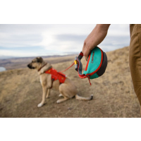 Ruffwear Hitch Hiker Leine Aurora Teal