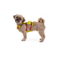 Ruffwear Flagline Geschirr Lichen Green