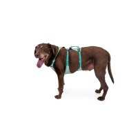 Ruffwear Flagline Geschirr Sage Green XS