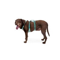 Ruffwear Flagline Geschirr Sage Green M