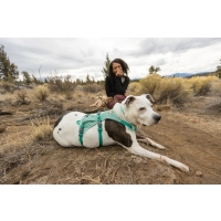 Ruffwear Flagline Geschirr Sage Green M