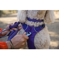 Ruffwear Front Range Geschirr Purple Sage XXS
