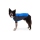 Ruffwear Powder Hound Jacke Blue Pool