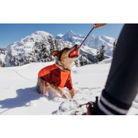 Ruffwear Powder Hound Jacke Persimmon Orange