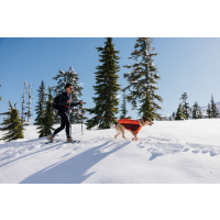 Ruffwear Powder Hound Jacke Persimmon Orange