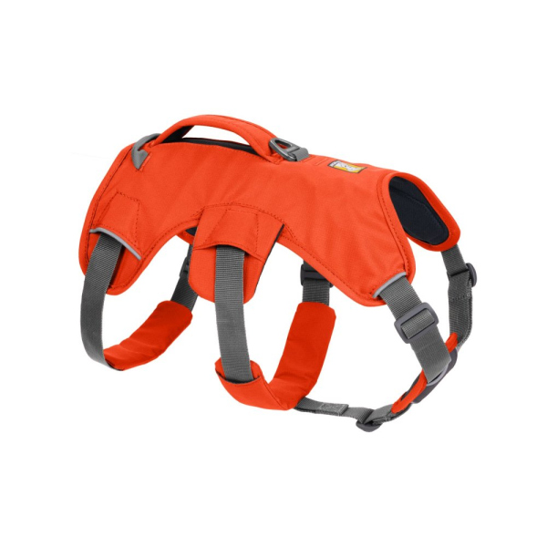 Ruffwear Web Master Geschirr Blaze Orange