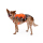 Ruffwear Web Master Geschirr Blaze Orange