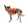 Ruffwear Web Master Geschirr Blaze Orange