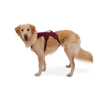 Ruffwear Web Master Geschirr Purple Rain