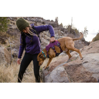 Ruffwear Web Master Geschirr Purple Rain