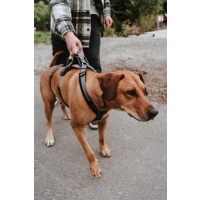 HUNTER Sicherheitsgeschirr mit Griff Maldon Schwarz/Grau XS-S