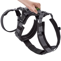 HUNTER Sicherheitsgeschirr mit Griff Maldon Schwarz/Grau S-M