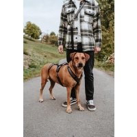 HUNTER Sicherheitsgeschirr mit Griff Maldon Schwarz/Grau S-M