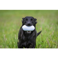 Sporting Saint PVC Launcher Dummy weiß