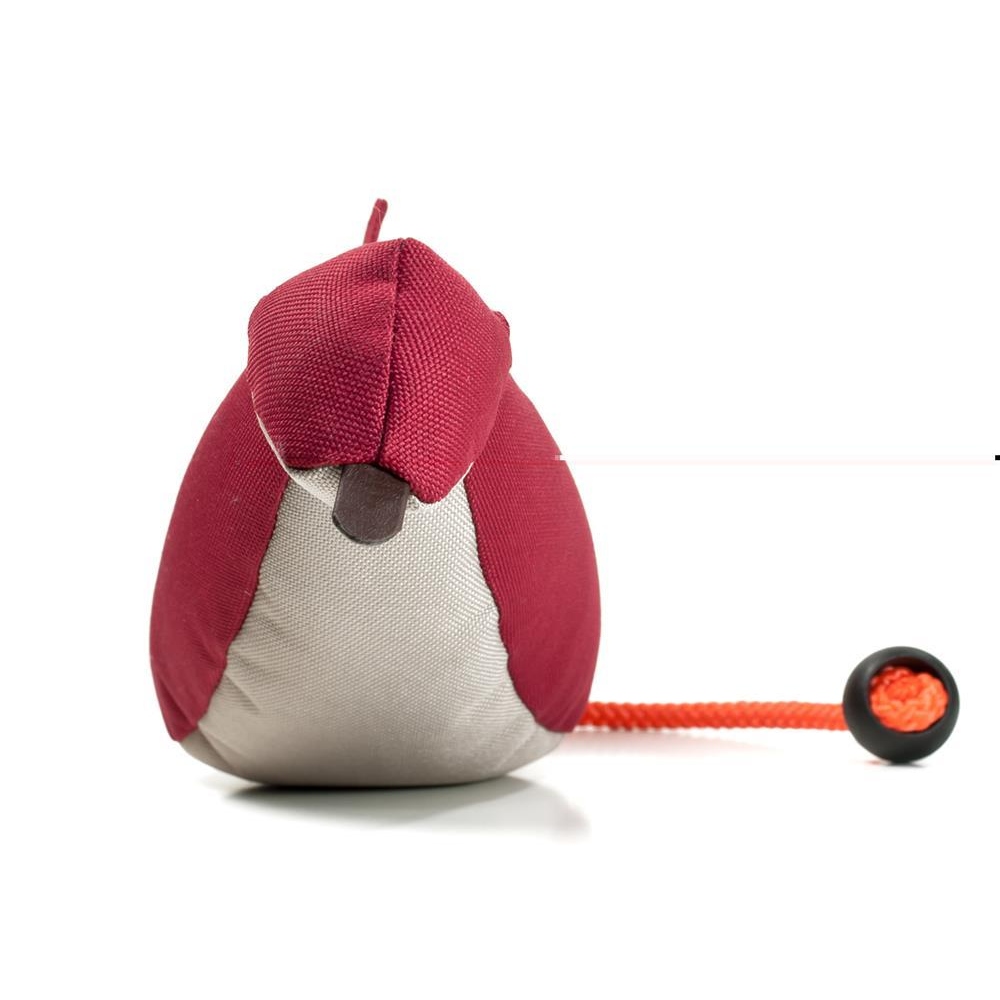 Mystique® Bird Dog Dummy ideal für das tägliche Training! Marios