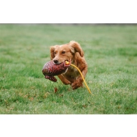 Sporting Saint Dummy Bird Puppy Flugfasan 235g