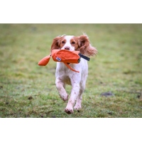 Launcher Bird Dummy Orange