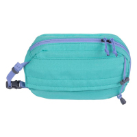 Ruffwear Stash Bag Plus Aurora Teal